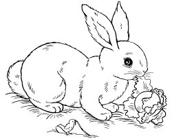 Cute animated rabbit coloring page. Free Printable Rabbit Coloring Pages For Kids