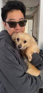 She's home! Krista O'Neill Urbanik thanks all you guys! This is what a  village does!