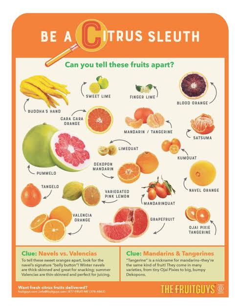 Your Guide to Different Citrus Fruits: Be a Citrus Sleuth - The FruitGuys
