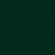 Flames of fire burning in slow motion at woods. Background Dark Forest Green Color Novocom Top