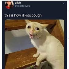 Haha True Funny Animal Jokes Kid Memes Funny Instagram Memes