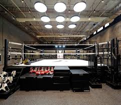 Gallery Of The Burrow Lab 100 5