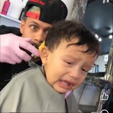 Anyone put Christmas outdoor lights up ?