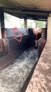 Image result for dip vat