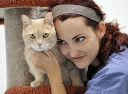 Five cat lives left for Mission Viejo's Lucky?