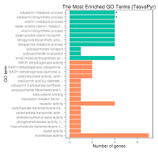 Genes Free Full Text Testosterone Degradative Pathway Of