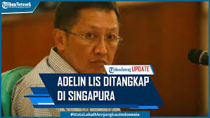 Adelin lis was sentenced to 10 years in prison and a fine of rp. D6sxd5hd09k8m