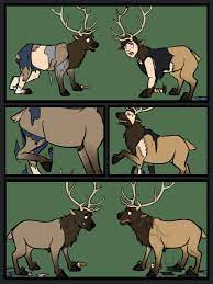 Deer blind blowjob - Best adult videos and photos