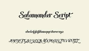 Salamander script download free in category basic, open type. Salamander Script Free Font