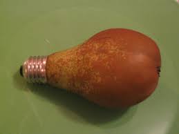 Afbeeldingsresultaat voor geef nooit op grappig