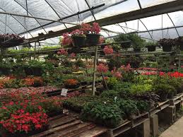 Download the current warren family garden center & nursery newsletter. Family Garden Center Greenthumb Okc Home Facebook