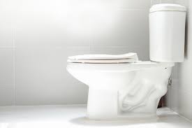Older low flow toilet trouble. Toilet Clog Billy The Sunshine Plumber