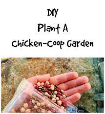 how to plant a garden in your chicken coop for your backyard chickens to feed on chickens homestead ga chicken coop garden chicken garden chickens backyard