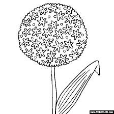 Become a fan on facebook! Flower Coloring Pages Color Flowers Online