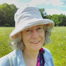 Essex local election: The 4 candidates in Chelmsford North