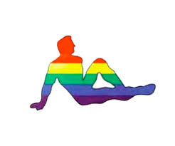 A pride flag is any flag that represents a segment or part of the lgbt community. Mud Flap Male Hot Guy Rainbow Flag Sticker 3x4 5 Inch Lgbt Male Gay Pride Decal Tan Baseball Cap Wi0
