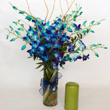 We did not find results for: Brigitte S Flowers Galore Fort Lauderdale Fl Florist