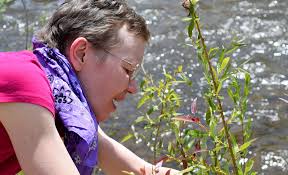 Remembering Joyce Bair