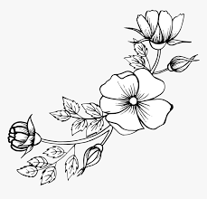 ✓ free for commercial use ✓ high quality images. Hand Drawn Flower Png Transparent Png Transparent Png Image Pngitem