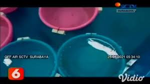 Ada 10 formasi yang dibuka dengan rincian s1 tekn. Kkp Lepasliarkan 21 Ribu Benih Lobster Ke Perairan Banyuwangi Bisnis Liputan6 Com