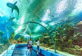 زيارتي الشي قة الى فقيه اكواريوم جدة بنات بطوطة