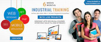 Finally the last chapter, which is the conclusion also looked at the findings and made some. Industrial Training Plays A Vital Role In Student S Life 2016