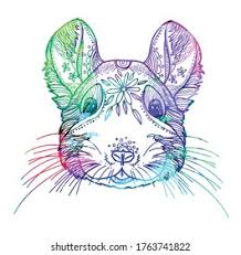 Select the page of your choice, take print and start colouring! Chinchilla Head Antistress Coloring Page Meditative Stock Vector Royalty Free 1763741822