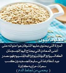 فوائد الشوفان health food food recipes