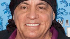 What is the cause of Steven Van Zandt's head injury? Exploring its  significance amid recent interview