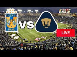 El campeón tigres, que había superado a pumas en sus últimos cuatro enfrentamientos, permanece con siete puntos en la octava posición. Tigres Vs Pumas En Vivo Hoy Liga Mx Jornada 13 Youtube