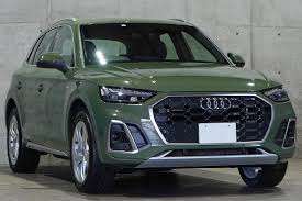 Image result for Azorean Green 2018 Q5