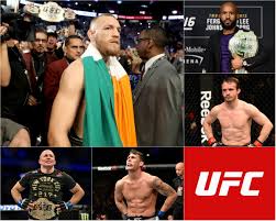 Still, mcgregor's should ambition should not be dismissed or criticized; Ufc 2017 Review Mayweather Vs Mcgregor Brad Pickett And Demetrious Johnson Among The Highlights The Independent The Independent