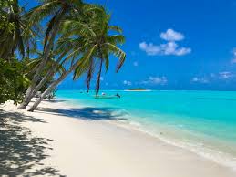 750+ Tropical Beach Pictures | Download Free Images on Unsplash