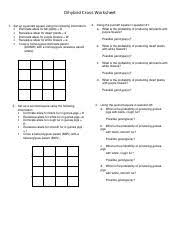 Chapter 10 dihybrid cross worksheet answer key chapter 10 dihybrid cross worksheet answer key dihybrid cross. Dihybrid Cross Worksheet Dihybrid Cross Worksheet 1 Set Up A Punnett Square Using The Following Information Dominate Allele For Tall Plants D Course Hero