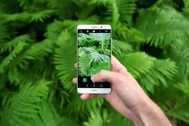 Fstoppers Reviews the Huawei Mate 9 ...