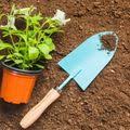 Grow Together Native Garden Club