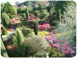 Der botanische garten in puerto de la cruz auf der kanaren insel teneriffa ist besonders interessant und beherbergt eine vielzahl an teilweise schon sehr alten und großen tropischen und subtropischen. Galerie Botanischer Garten Christiansberg