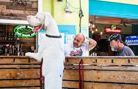 St Pete Is Going To The Dogs - The Dog Bar