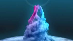 Download from our library of free premiere pro templates. Best After Effects Intro Template Free Download 107 Topfreeintro Com