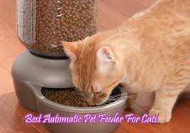 Homdox automatic cat feeder pet food dispenser for cat dog, auto cat feeder with timer programmable factors considered when selecting the best automatic dog and cat feeders: Best Automatic Cat Feeders Reviews In 2020 Pet Food Dispenser
