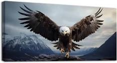 Amazon.com: YONICA Wall Canvas Painting of Nature Animal, Eagle ...