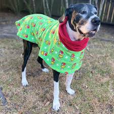 Great Dane Large Breed Fleece Sweater (winter/christmas)