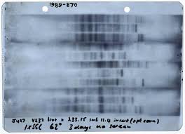 Colin pitchfork's sick plot to hide child murders before being foiled at the pub mirror.co.uk16:38. Killer Breakthrough The Day Dna Evidence First Nailed A Murderer Crime The Guardian