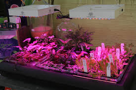 We did not find results for: Growing Vegetables Indoors The Gateway Gardener