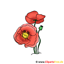 Bellissime fotografie di fiori da scaricare gratis. 154 Fiori Clipart Immagini Grafica Gratis Gif Png Jpg