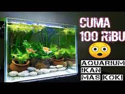 Pin Di Aquarium