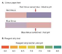 A diet high in protein produces a more acid urine, while a vegetarian diet often produces a ph greater than 6. Physical Examination Of Urine