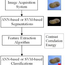 The Overall Schematic Diagram Of The Proposed Potatoes