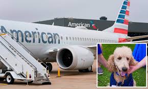 And canada, mexico, central america, colombia and optional service fees may be different and products may vary on flights operated by our airline partners. American Airlines Slammed For Rule Charging At Least 125 For Emotional Support Animals Daily Mail Online