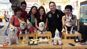 Siz işlerinizi hallederken, onlar güvenli ortamımızda arkadaşlarıyla sosyalleşip, oyun ve eğlencenin tadını çıkarıyorlar. Party Animals R Age R Age